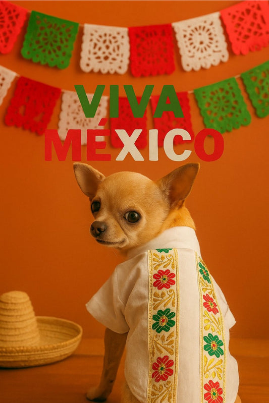 Guayabera